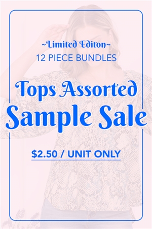 S13-6-1-TOPS ASSORTED SAMPLE SALE