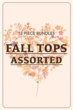S9-3-1-FALL TOPS ASSORTED SAMPLE SALE