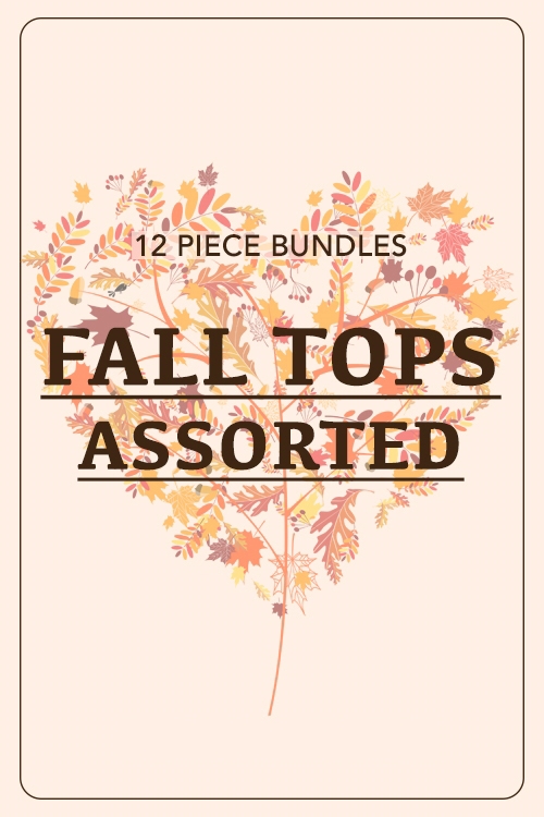 S9-3-1-FALL TOPS ASSORTED SAMPLE SALE