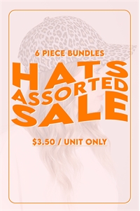 S22-1-1-HATS ASSORTED SAMPLE SALE