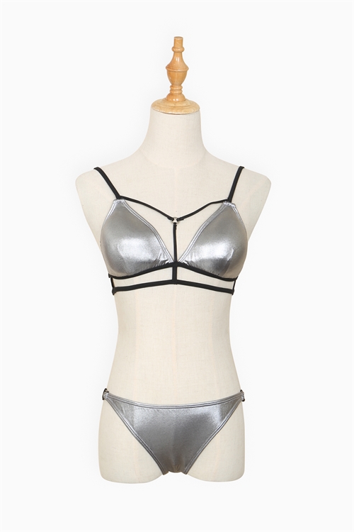 SA3-4-4-B2012 SILVER 2 PIECE BIKINI 3-1