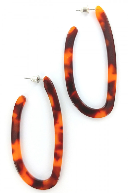 S1-1-2-LBE2189BR RESIN HOOP EARRINGS/6PAIRS