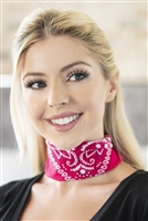 S3-4-3-HDF2859FS FUCHSIA PAISLEY PRINT BANDANA/12PCS