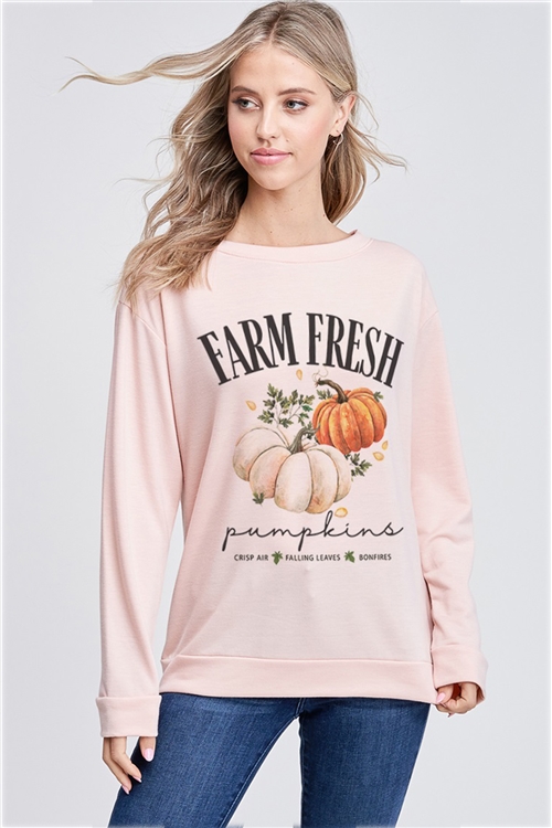 S36-1-1-T765G12887-BLS - FALL PUMPKIN PRINT FRENCH TERRY SWEATSHIRT- BLUSH -2-2-2