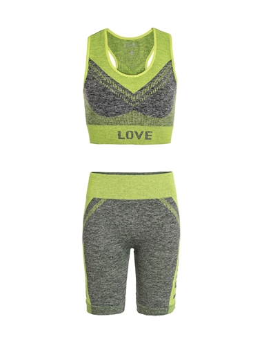 Women's Seamless Sports Bra and Biker Shorts Set with Neon Accents