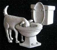 Dog Drinking out of the toilet