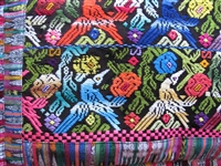 Embroidered Motmot Pillow Sham - El Salvador