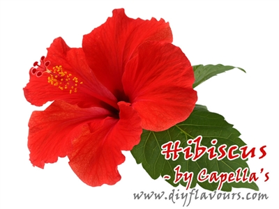 Hibiscus by Capella's