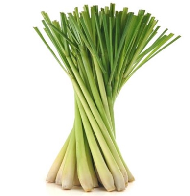 Lemongrass Concentrated Flavor