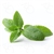 Peppermint Concentrated Flavor