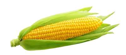 Corn Flavor Concentrate by Flavour Art