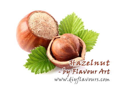 Hazelnut Flavor Concentrate by Flavour Art