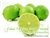 Lime Tahity Cold Pressed Flavor Concentrate by Flavour Art