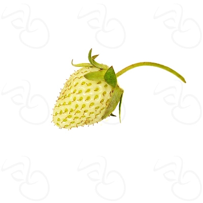 Strawberry Green Flavor Concentrate by Flavour Art