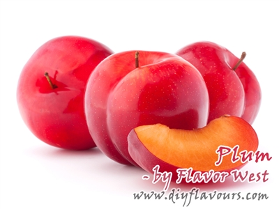 Plum Flavor Concentrate by Flavor West