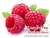 Raspberry Flavor Concentrate by Flavor West