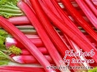 Rhubarb Flavor by Inawera