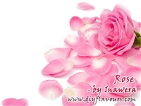 Rose Flavor by Inawera