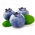 Blueberry (Colourless)  by LA