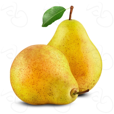 Pear by LA