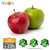 Apple Extract by Real Flavors