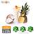 Pina Colada Extract by Real Flavors