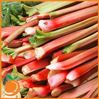 Rhubarb by Real Flavors