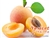 Apricot by TFA or TPA