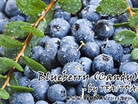 Blueberry (Candy) by TFA or TPA