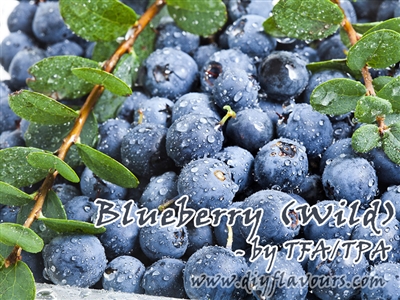 Blueberry (Wild) by TFA or TPA