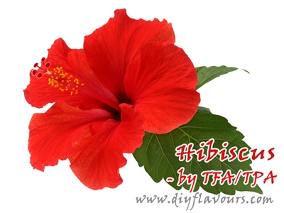 Hibiscus by TFA or TPA
