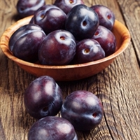Plum by TFA / TPA
