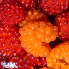Alaskan Berries SC by Wonder Flavours
