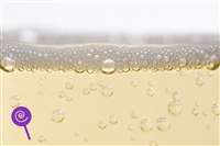 Champagne Soda SC by Wonder Flavours