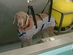 Hydrotherapy Sling