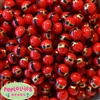 12mm Santa Belt Print Bubblegum Beads