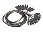 10-Channel Analog Snake | Made from Mogami 2933 & Neutrik Gold XLR | Standard Finish ( Harness Loom )