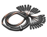11-Channel Analog Snake | Made from Mogami 2933 & Neutrik Gold XLR | Standard Finish ( Harness Loom )