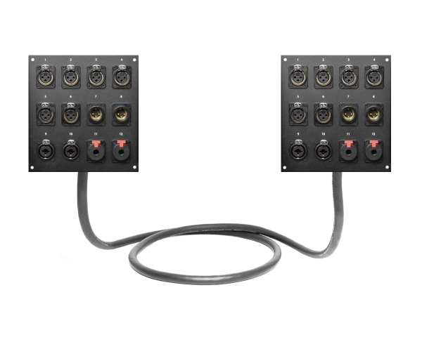 Dual 12-Channel Studio Wall Panel / Wall Plate | Made from Mogami 2933 & Neutrik Gold Connectors