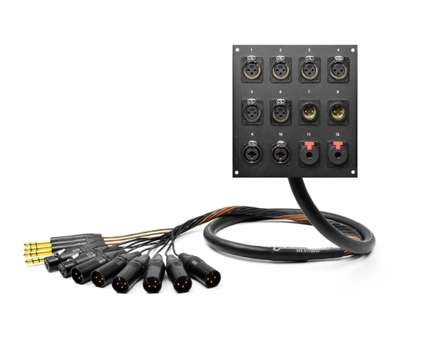 12-Channel Studio Wall Panel / Wall Plate | Made from Mogami 2933 & Neutrik Gold Connectors | Standard Finish