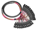 24-Channel Analog Snake | Made from Mogami 2936 & Neutrik Gold XLR | Standard Finish ( Harness Loom )