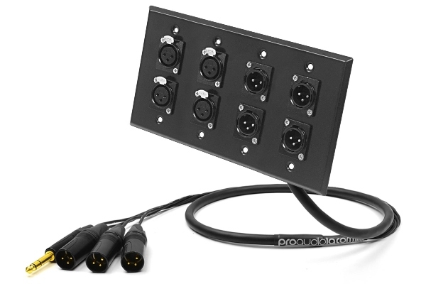 Rush Order 8-Channel Studio Wall Panel / Wall Plate | Made from Mogami 2932 & Neutrik Gold Connectors | Standard Finish
