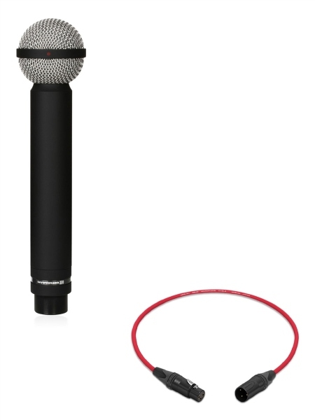 Beyerdynamic M 160 | Double Ribbon Instrument Microphone