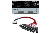 Burl Audio BDA12 ORCA | 12-Channel DAC/Control Room Monitor Daughter Card for B16 MOTHERSHIP 3