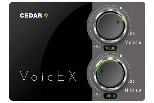 CEDAR VoicEX | Voice Extractor Plugin