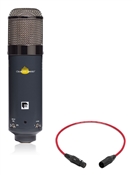 Chandler Limited TG Microphone