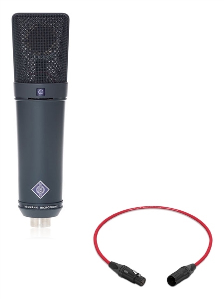 Neumann U 89 i | Condenser Microphone with K89 Capsule