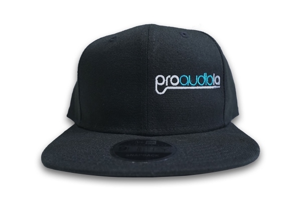 Pro Audio LA Snapback
