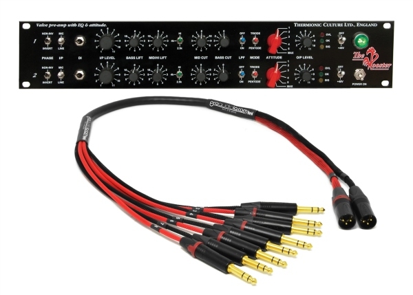 Thermionic Culture Rooster 2 | Dual Microphone Preamp & Equalizer | With Sum Cable TRS Version