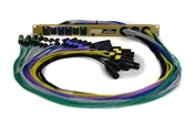 Whirlwind CatMaster | Ethernet Cable 6 Channel Rack Panel/Snake